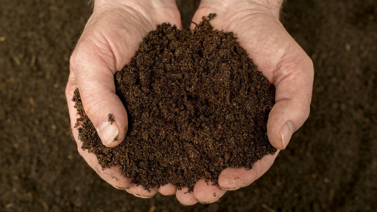Zaterdag 28 maart gratis zak compost